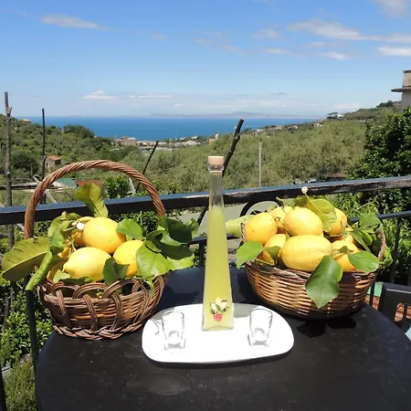 La Ruota Holiday home